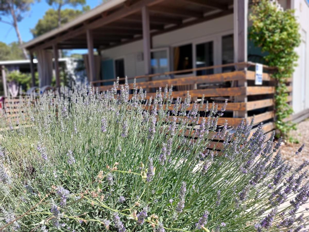 Holiday Homes Lavanda - Biograd Na Moru Eksteriør bilde