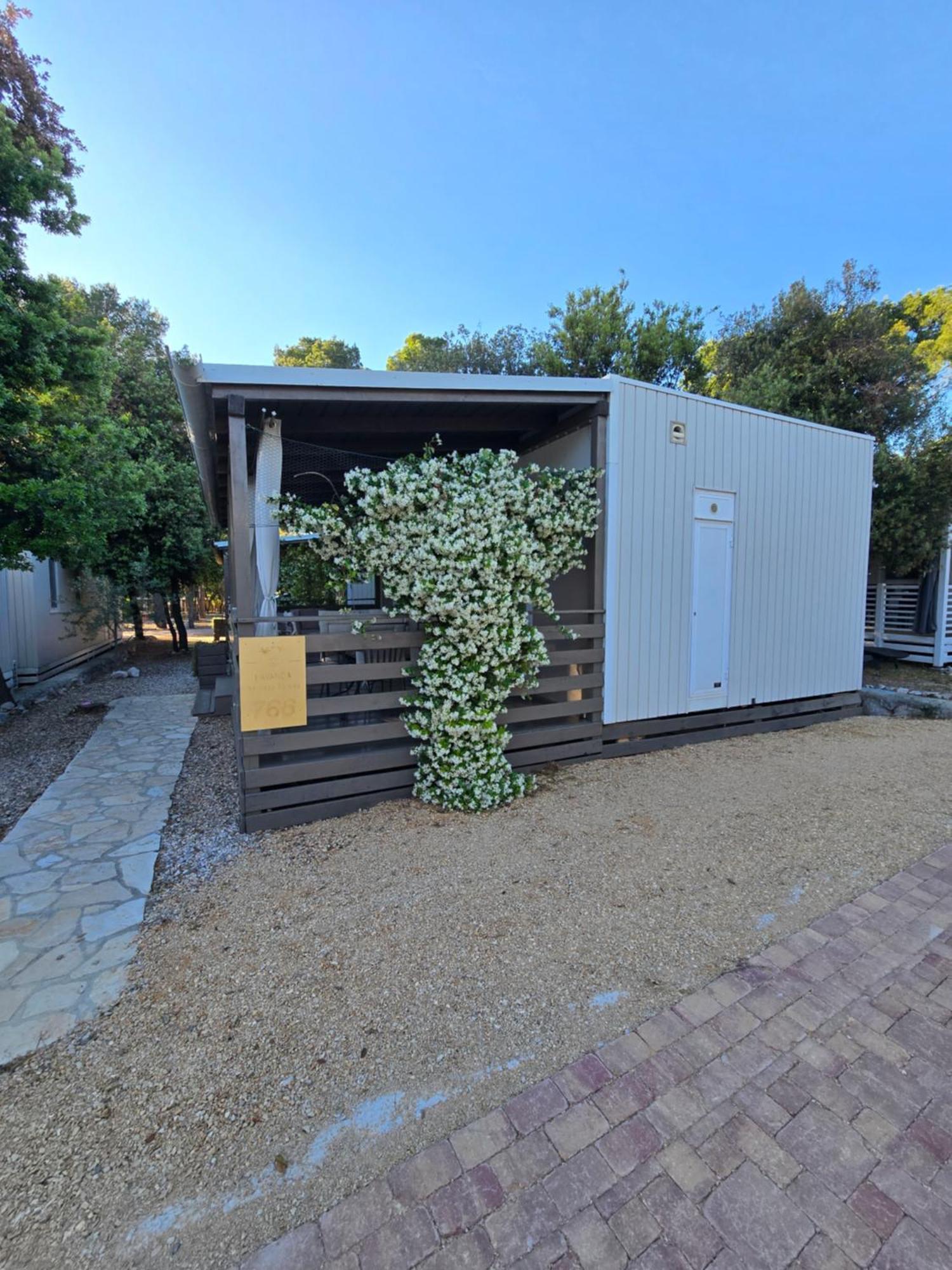 Holiday Homes Lavanda - Biograd Na Moru Eksteriør bilde